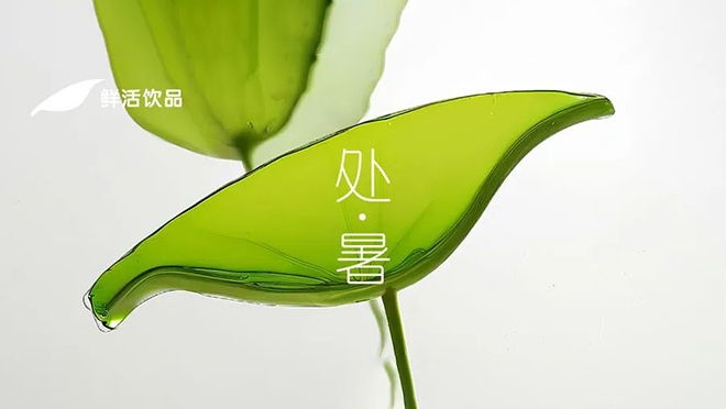 處暑丨颯然爽新，最好新秋