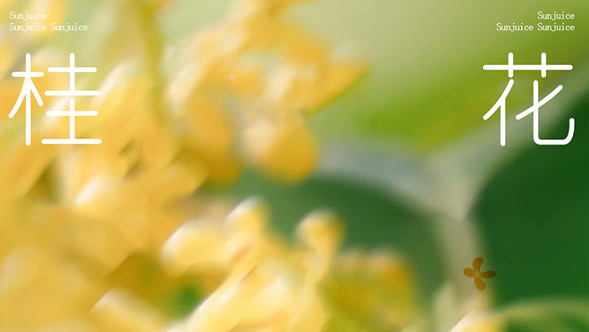 叮！秋日「香」氛請查收