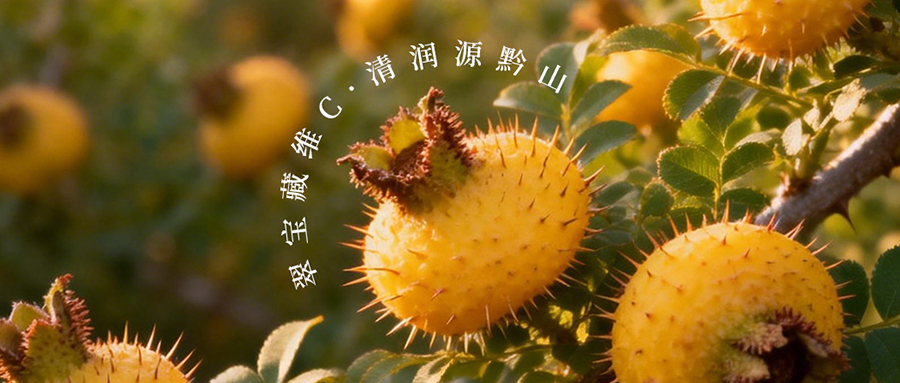 黔山藏 “綠寶”，一口鎖鮮維C