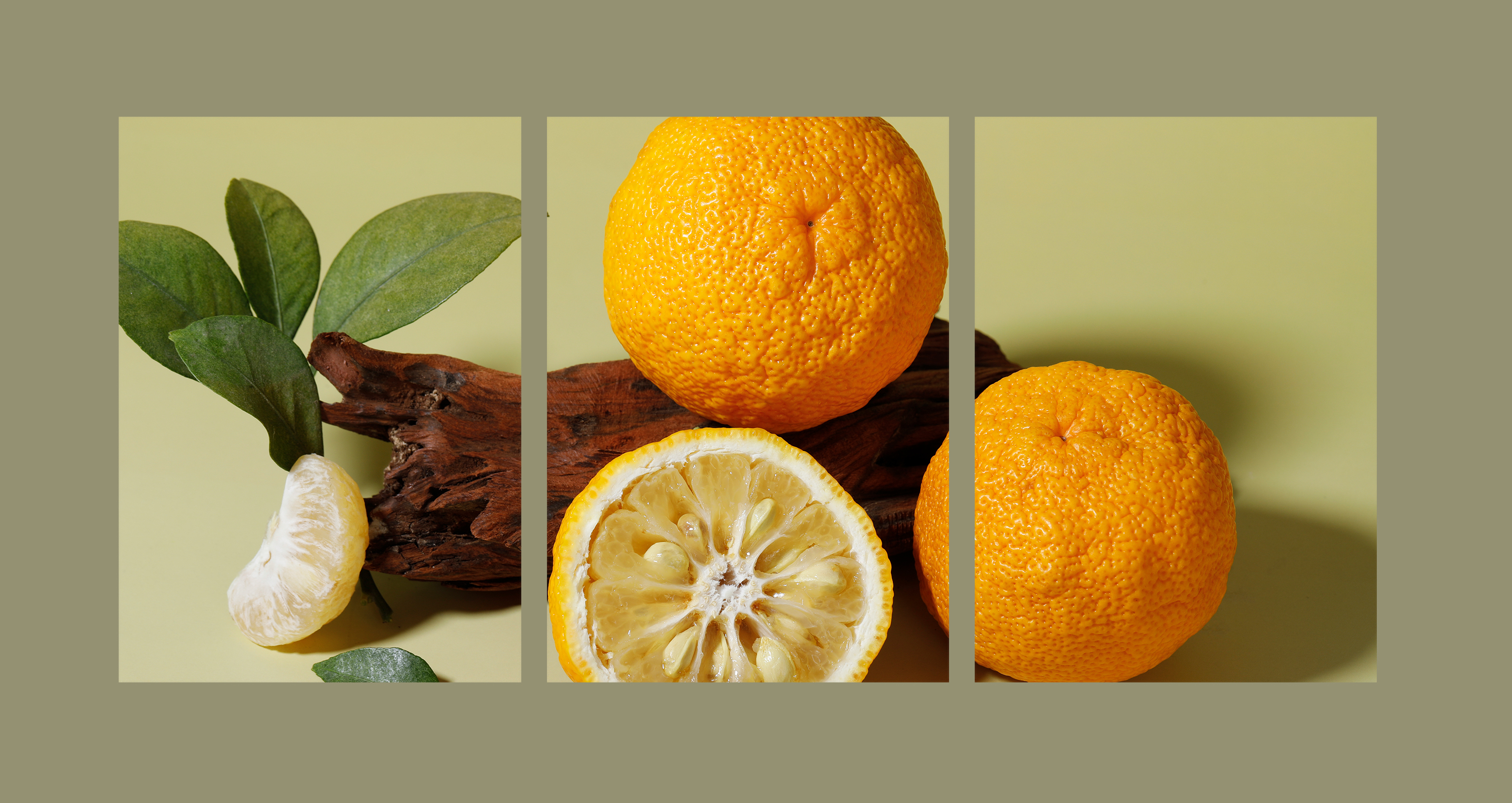 新品丨柚子，全新升級(jí)！